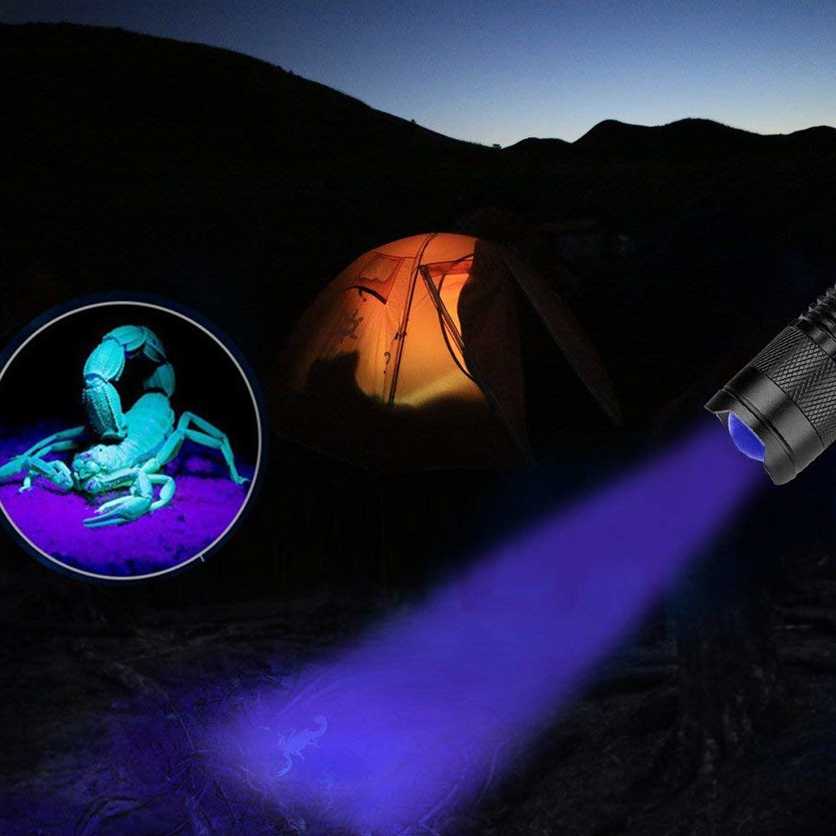 Tanie Ultrafioletowe czarne światło latarka 395 nm Zoomable wodood… sklep internetowy
